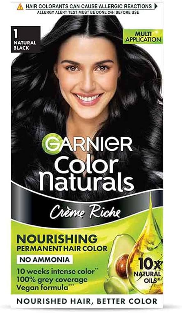 GARNIER NATURAL BLACK 1